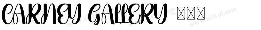 CARNEY GALLERY字体转换